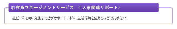 駐在員マネージメントサービス