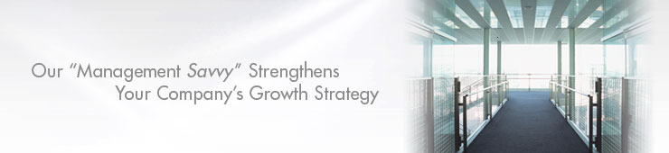Our Management Savvy Strengthens Your Company's Grouth Strategy
