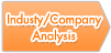Industy Company Analysis