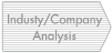 Industy/Company Analysis